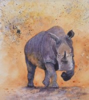 Rare Rhino